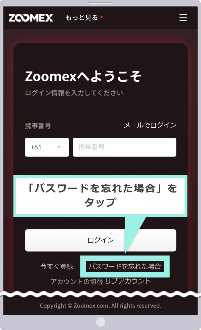 Zoomexへアクセス